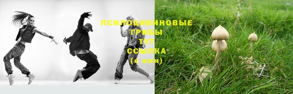 экстази Алексеевка